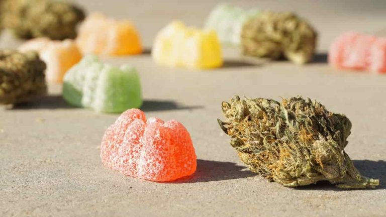 CBD Gummies 101: A Technical Review