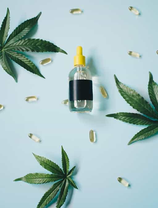 CBD and Sleep Disorders