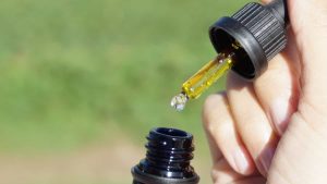 CBD Oil Dosage